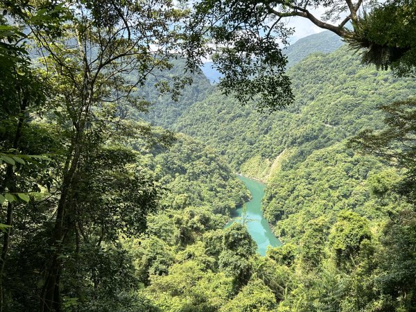 內洞國家森林遊樂區2806884