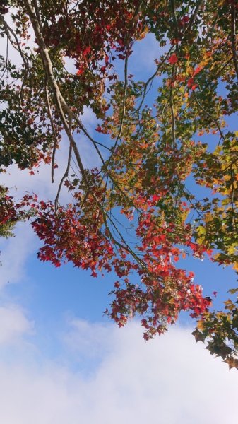 馬那邦山O走2370133