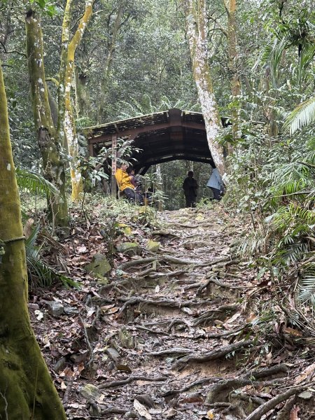 20251227尾寮山登山步道2970515
