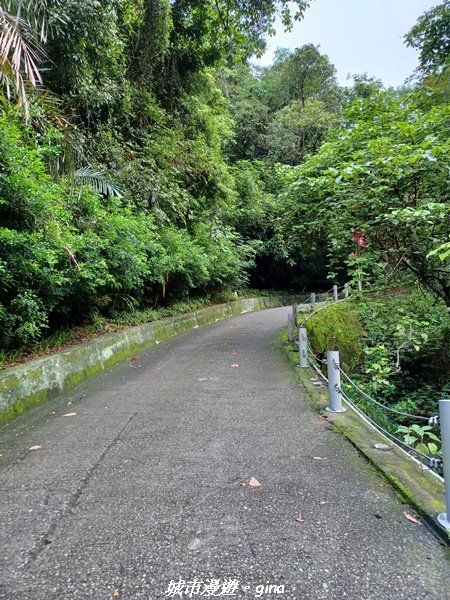 【台中潭子】風和日麗健行趣。 新田登山步道x聚興山2310396