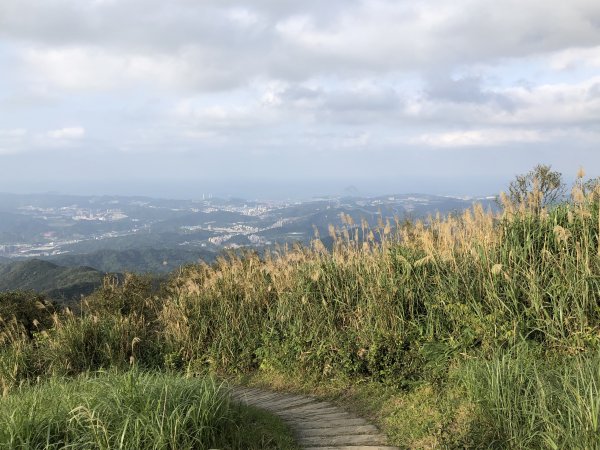 台灣小百岳No.011姜子寮山908432