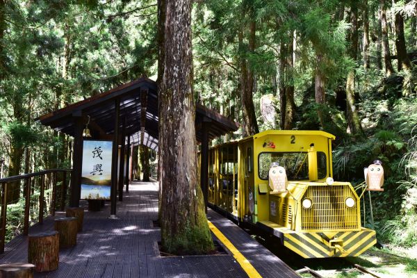 【活動】森林療癒，從心開始~~太平山的療癒之旅