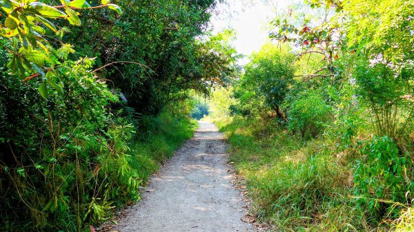 左營半屏山2954313