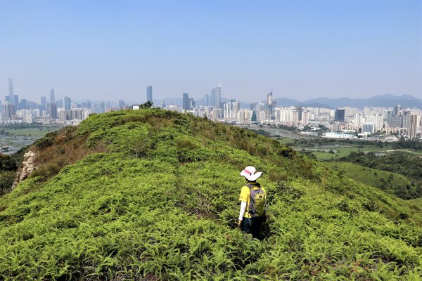 HK - 鐵坑，蛇嶺1268059