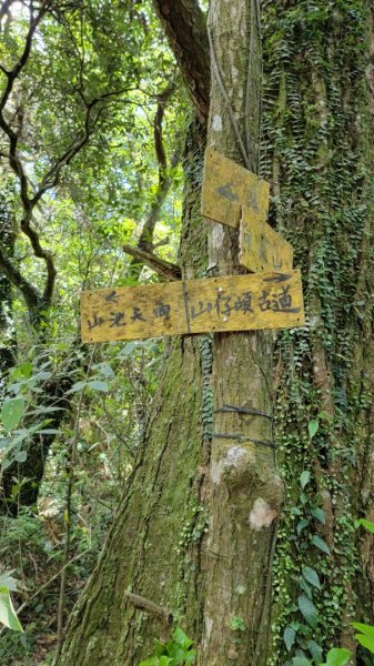 按圖索驥解鎖向天池山-202405192508223