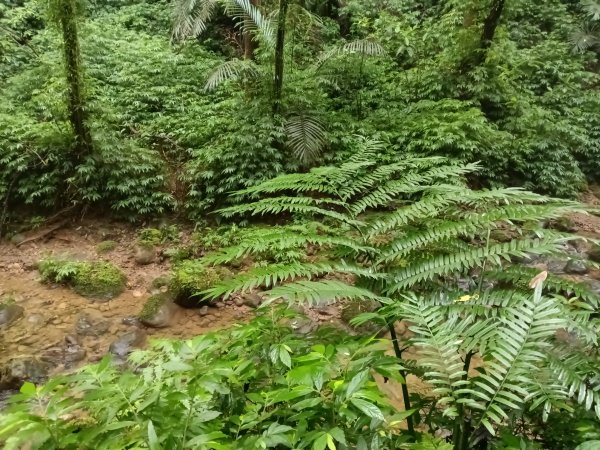 平溪區善覺寺古道(步道)去回2855350