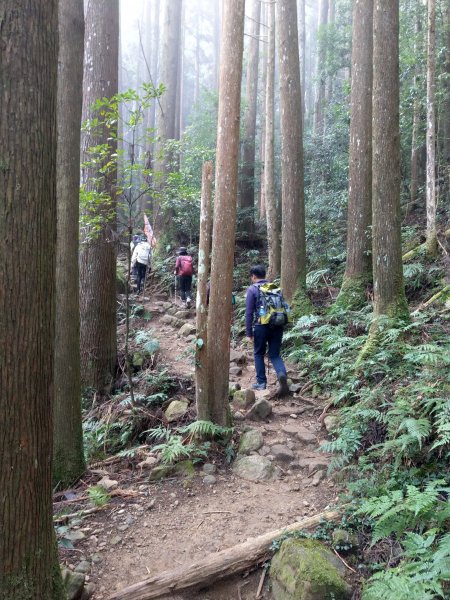 台版富士山「加里山」(小百岳#34) 2020/12/191424798
