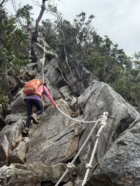 鳶嘴山+稍來神木 202508302873864