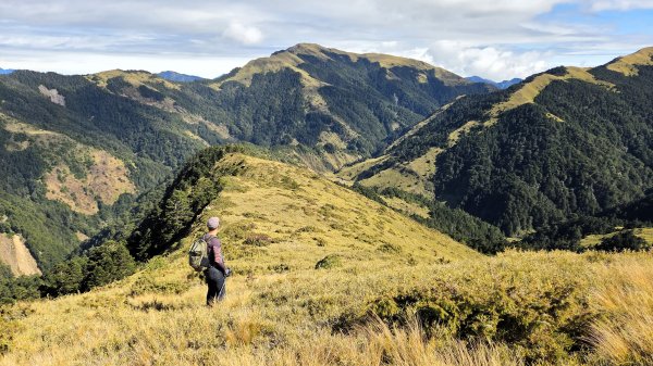 貼近山林來走個稍微不一樣風景的合歡山
