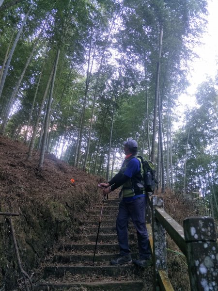 20181204嘉南雲峰、石壁山登山步道473362