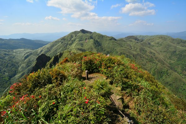 茶壺山O型883006