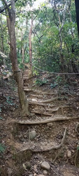 神壽任務尋寶趣-五酒桶山、山鼻山步道1801604