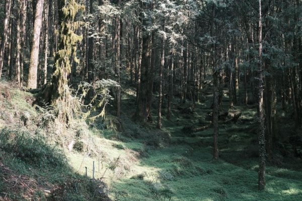 眠月線～年輕人爬山趣2854757