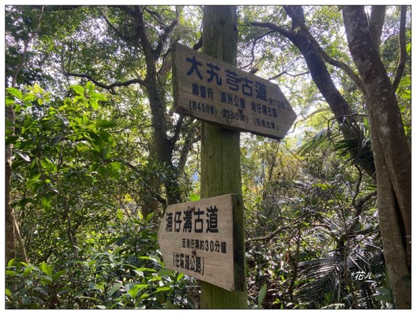 草嶺山、白石山、頭寮山 六連峰 O型路線2798667