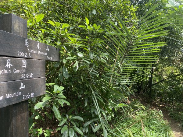 2025微笑山線大縱走尋寶集章任務-Ep.03【鳶山山系】鳶山彩壁段2893714