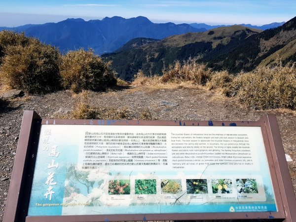 合歡南峰主峰縱走802914