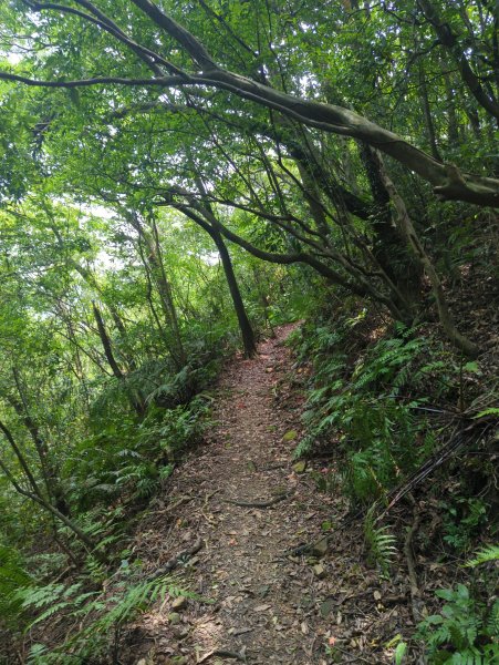 2025.05.03－燦光寮山O行縱走2782446