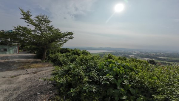 高雄 小崗山2927232