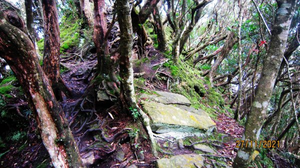 拉卡山 -東滿步道的綠寶石 滿月圓O型往返1858885