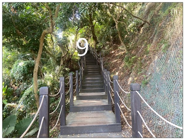 軍功寮山、大坑9、7、6、9-1步道 O型一圈2950784