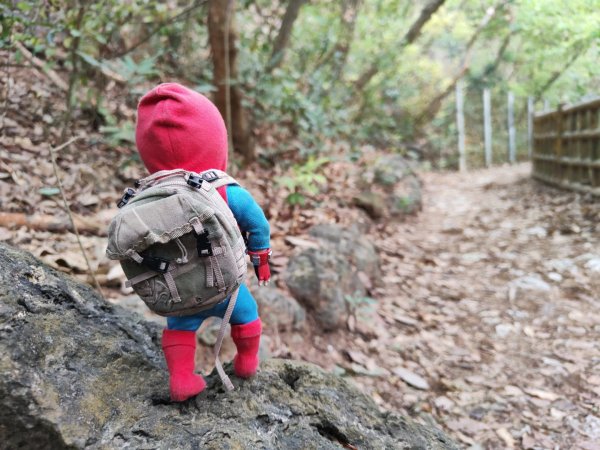 2023.12.24 高雄壽山2835318