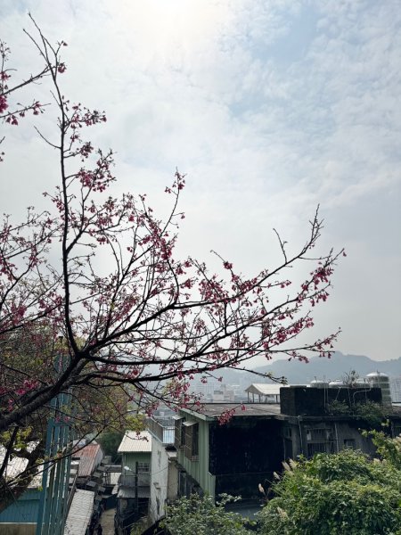 20250227基隆虎仔山封面