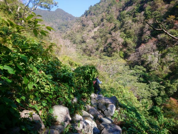 屋我尾山(麗陽線)821164