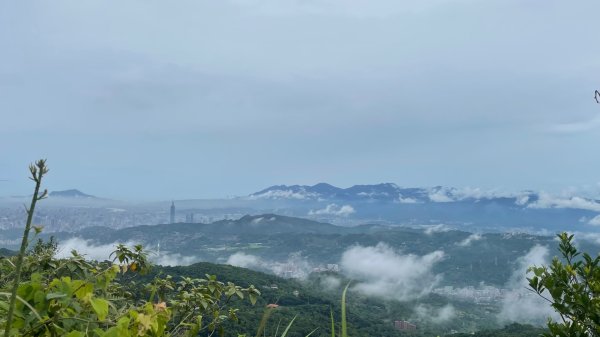 微笑山⛰️線-大棟-二格山-五分山-天上山-鳶山💎12條步道完成💙2834159