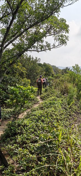 2026-0412 奇岩山_唭哩岸山_丹鳳山_軍艦岩3034873