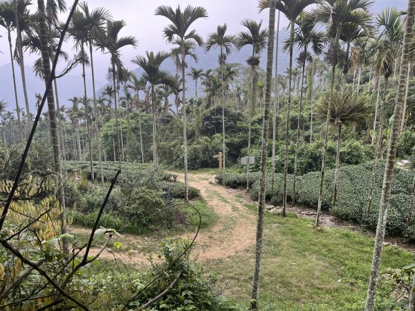 2023_0429_挑筍古道2138230