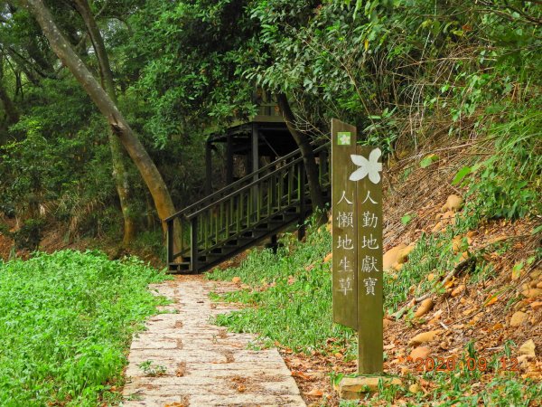 苗栗 通霄 高埔山1096931