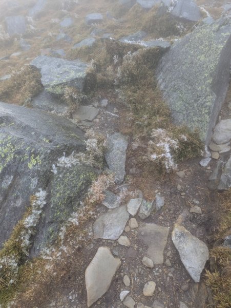 戒茂斯上嘉明湖雪景_2025/03/15-182782390