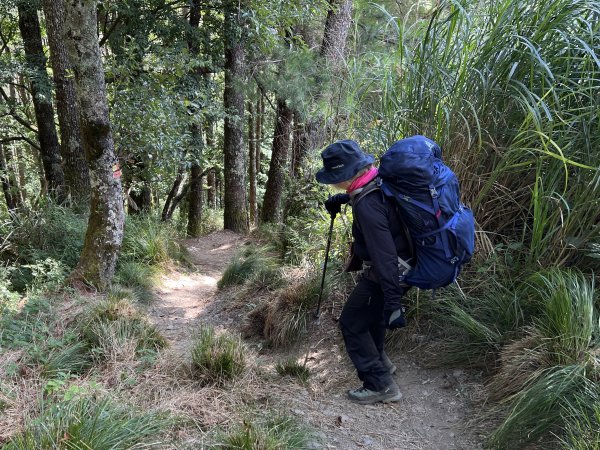 屏風山屋住一晚2916003