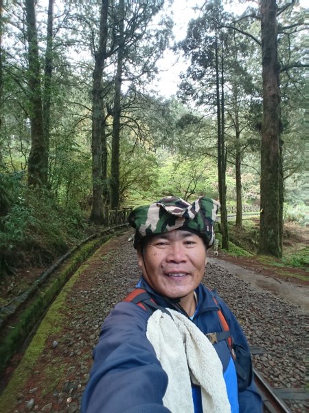 大塔山步道907509