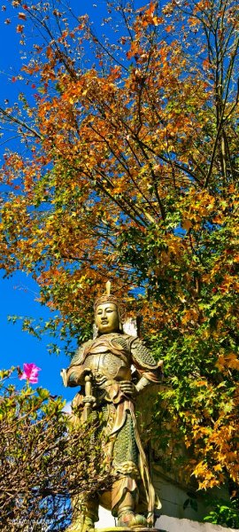 #花卉試驗中心 #永公路500巷 #平菁街42巷 #原住民公園 #士林官邸 1/42976526