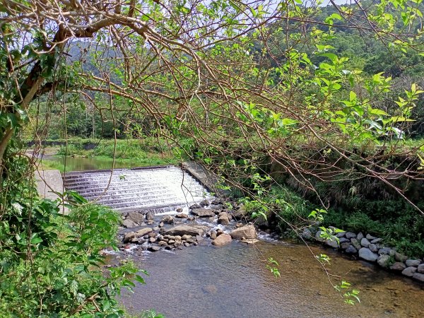 思古幽情的燦光寮古道、楊廷理古道、草山戰備道、黃金神社步道1854690