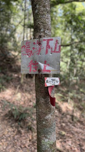 20260213 小百岳鳴海山3002985