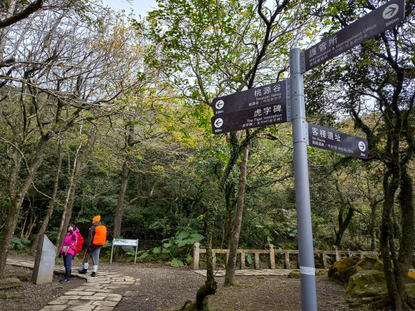 2025-01-19 大里天公廟~埡口2695377