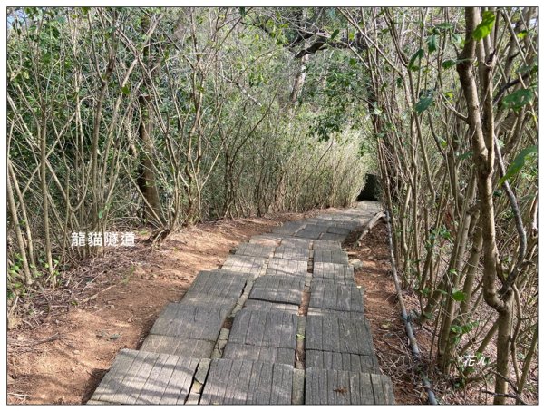 老崎古道、老崎坪頂山 (頭份)2737185