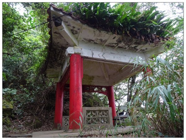 三峽/鳶山彩壁(小百岳)787881