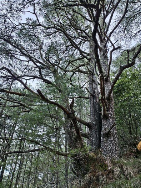 北一段(05/14)南湖南峰 2025_0906~132886502