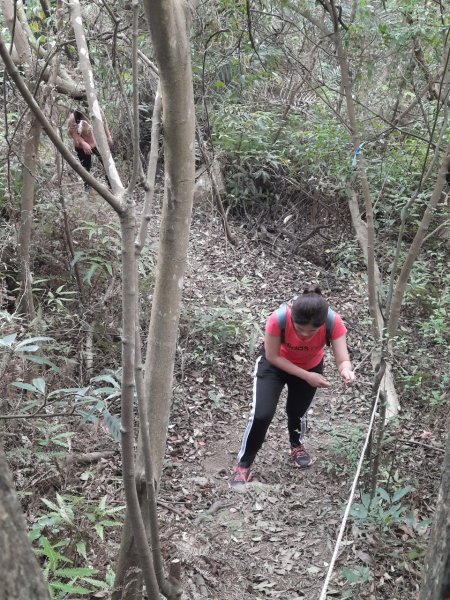 20230408 五指山越野15K賽前探路，隱家拉麵（咖哩），浩客豆花2100982