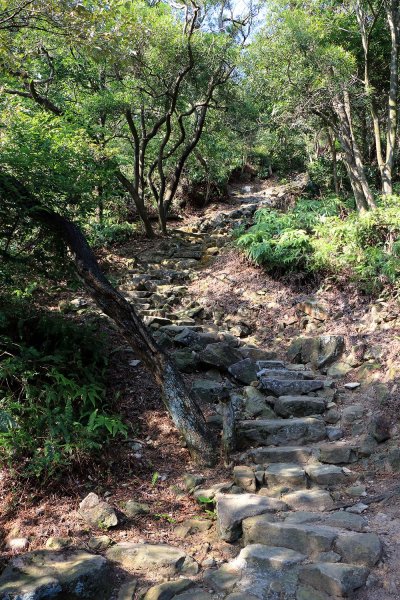 金面山。九蓮寺523745