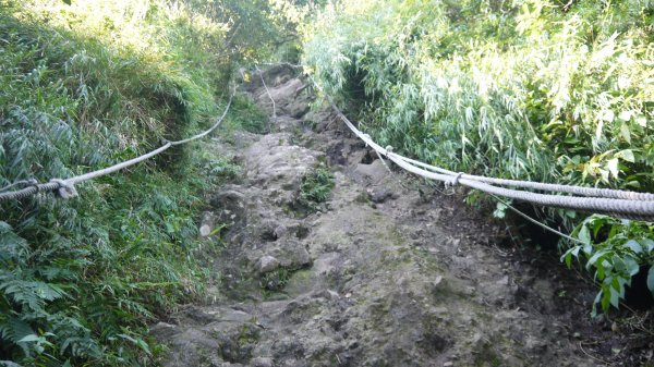 觀音山登山健行趣(小百岳05號)1632421