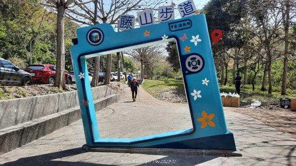 《彰化》登山逛市集｜臥龍坡步道環藤山步道202503222740491