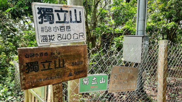 《嘉義》螺旋鐵道｜竹崎獨立山阿拔泉山逆O繞202504182765589