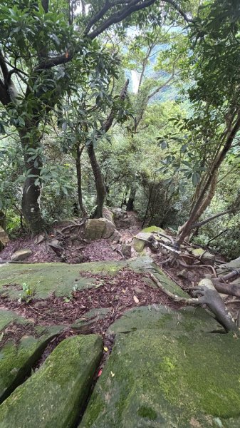 大雨後🙄2845395