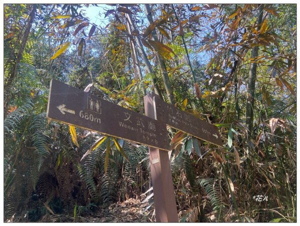 大牛條山．內湖山步道2768454