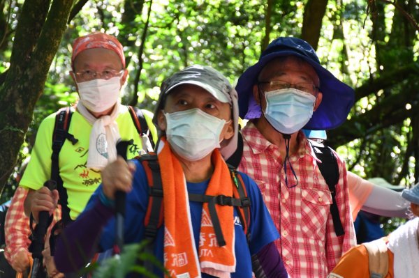 捷運劍潭站→內寮古道→竹篙山→擎天崗1459576