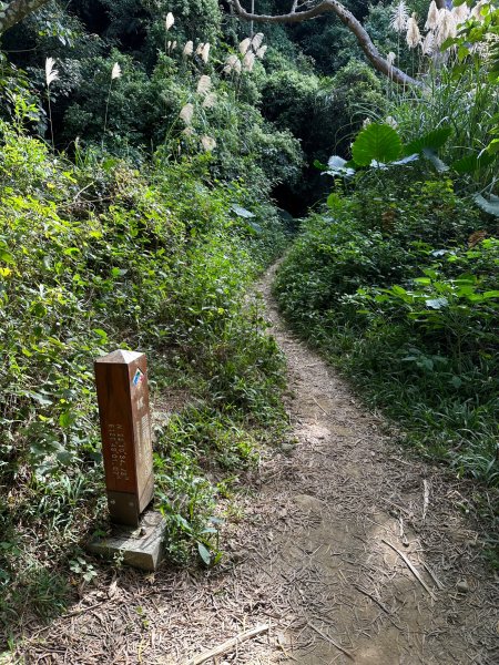 恆春半島最高峰里龍山1943448